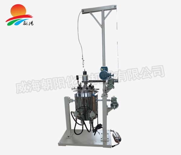 10L常規(guī)加氫設備